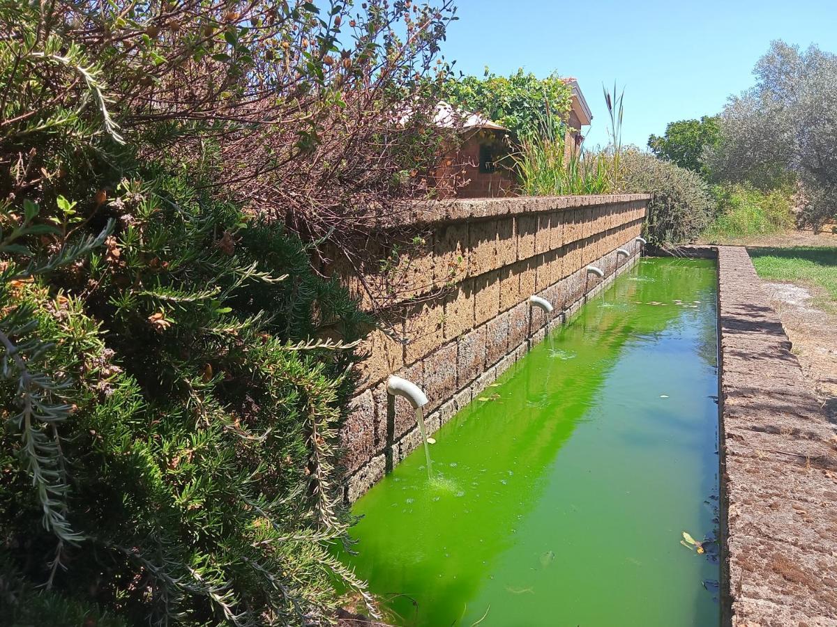 Farm stay Il Giardino Nell'orto Vetralla