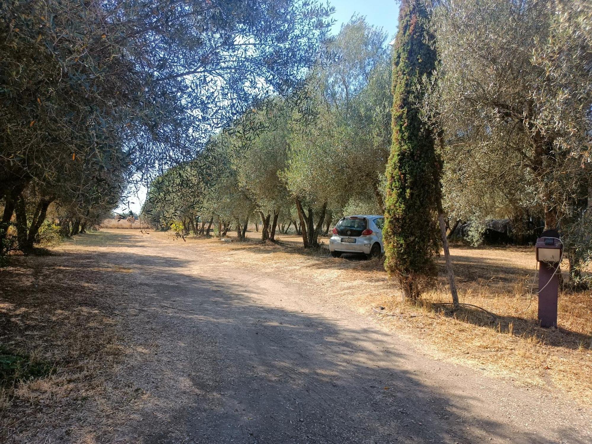Il Giardino Nell'orto Vetralla