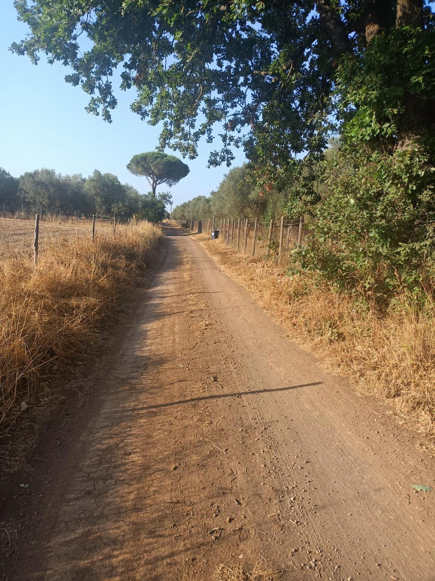 Il Giardino Nell'orto Farm stay