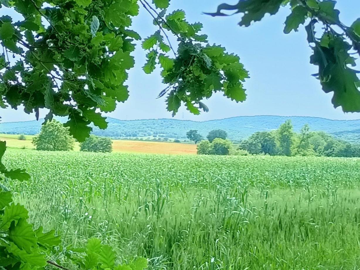 Farm stay Il Giardino Nell'orto *