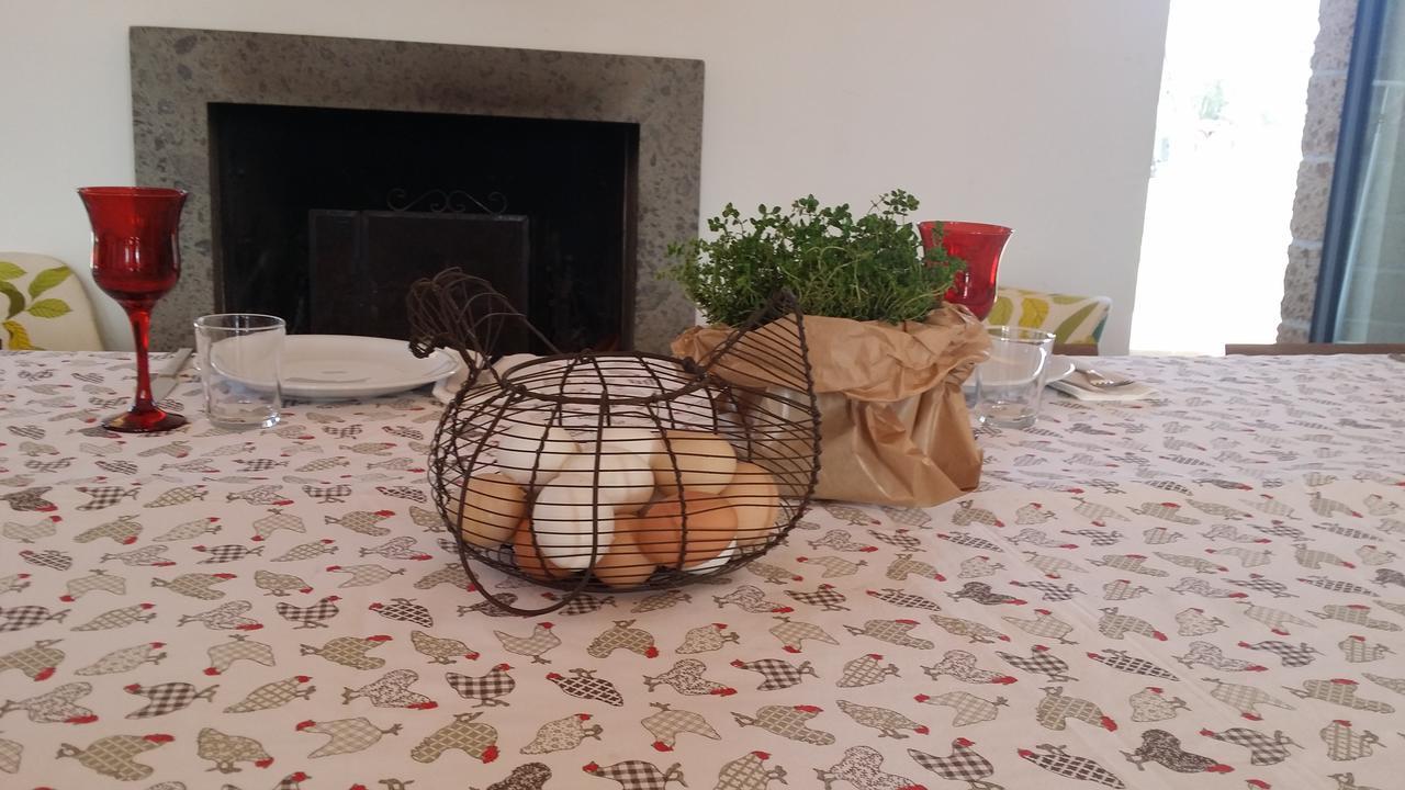 Farm stay Il Giardino Nell'orto Vetralla